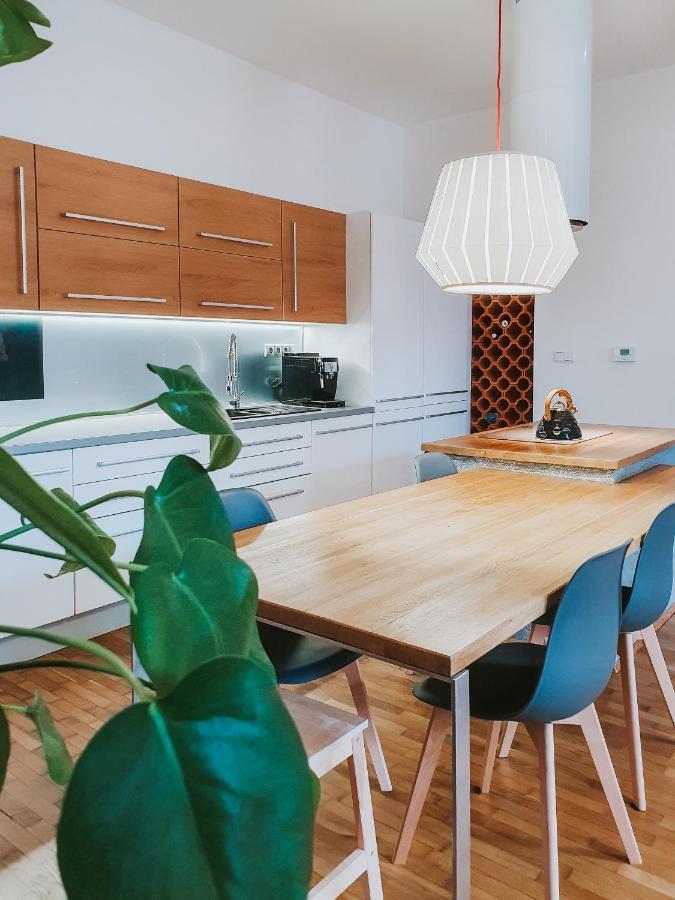 Priestranny Apartman V Centre โกชิเซ ภายนอก รูปภาพ